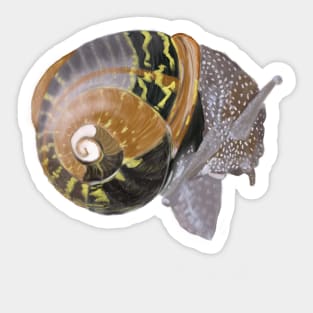 Snail Power in black, grey, brown, white Sticker